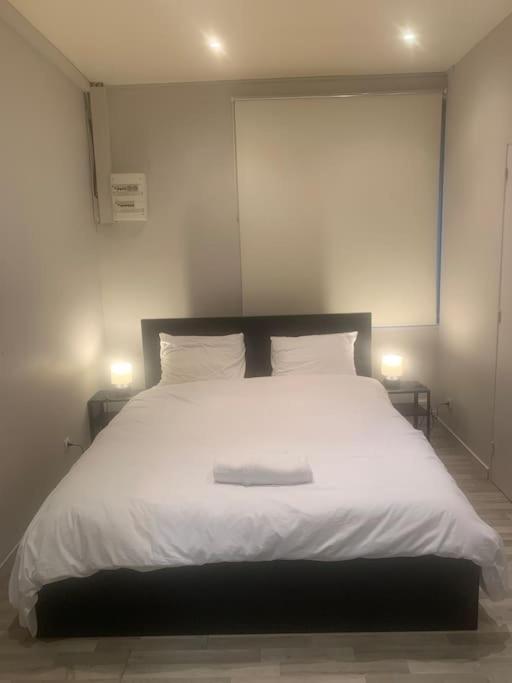 Chez Maryline-Joli T2 Spacieux Villeurbanne Dış mekan fotoğraf