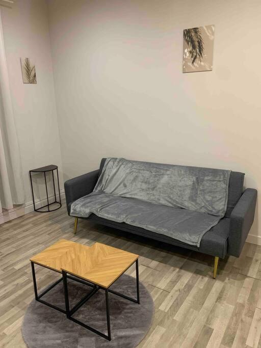Chez Maryline-Joli T2 Spacieux Villeurbanne Dış mekan fotoğraf